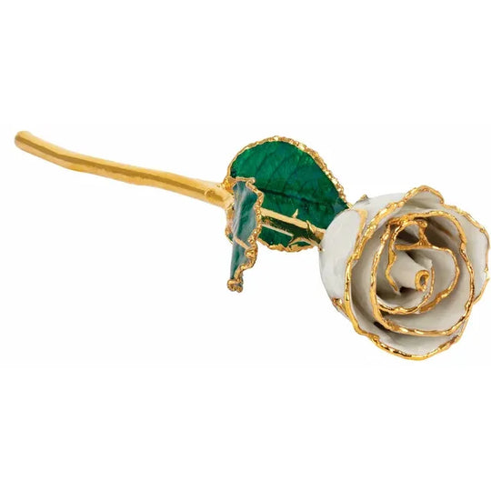 Lacquered White Coloured Roses with 24K Gold-Plated