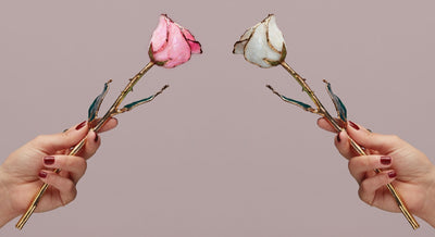 Two Lacquered rose trimmed in 24ct gold with gold-plated stem being held.