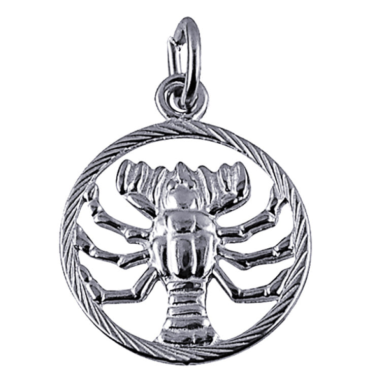 A close-up of the Cancer Zodiac Charm Pendant in sterling silver, showcasing the intricate crab design that represents Cancer’s nurturing and intuitive personality traits.