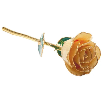 Champagne Sparkle lacquered rose on its side with gold-trimmed petals in the foreground.