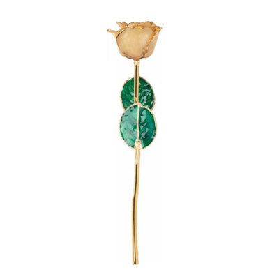 Full-length Champagne Sparkle rose with 24ct gold trim, 30cm gold-plated stem and green leaves.