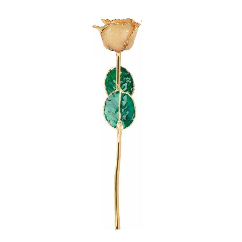Full-length Champagne Sparkle rose with 24ct gold trim, 30cm gold-plated stem and green leaves.