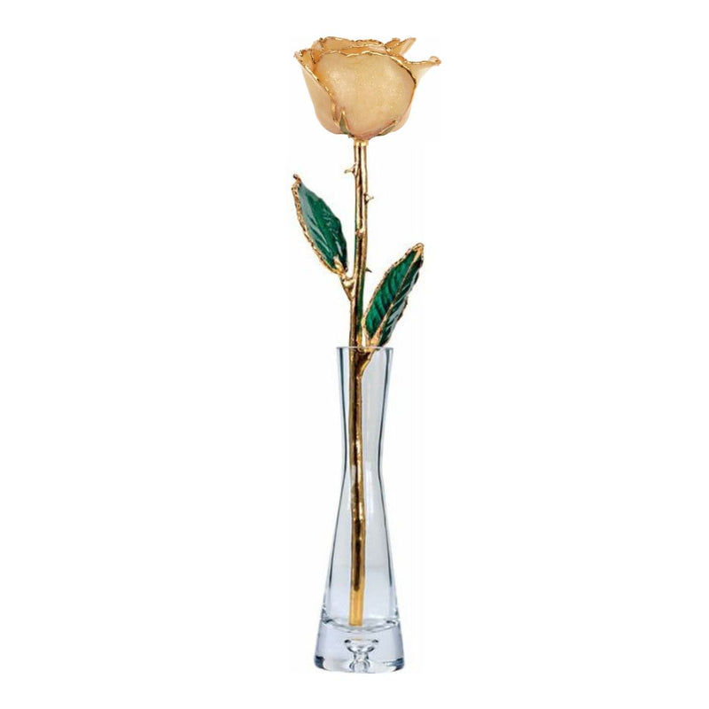 Gift set: Champagne Sparkle lacquered rose with 24ct gold trim displayed with glass vase.