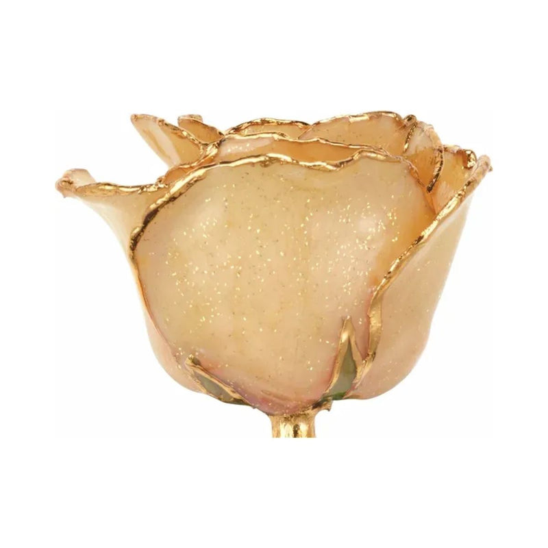 Close-up of semi-opened Champagne Sparkle lacquered rose with 24ct gold-plated trim.