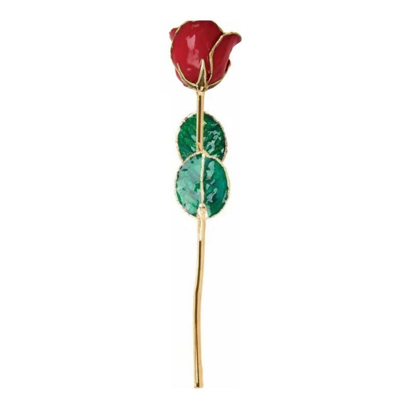 Classic Red lacquered rose with 24ct gold trim, green leaves and 30cm gold-plated stem on white background.