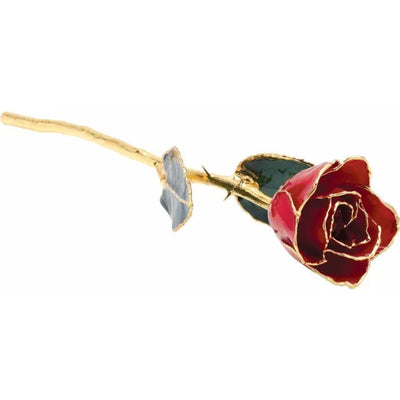 Classic Red lacquered rose on its side with gold-trimmed head in the foreground.