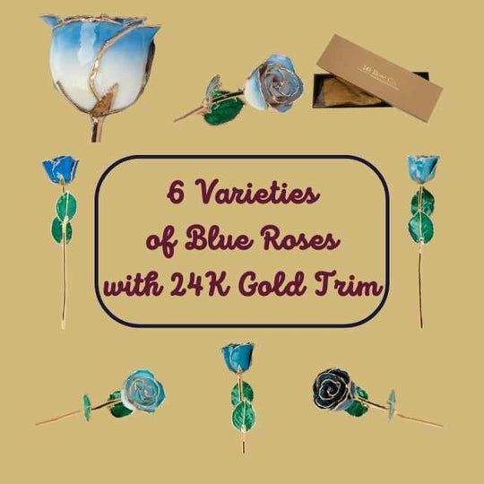 Lacquered Blue Coloured Roses with 24K Gold-Plated Trim