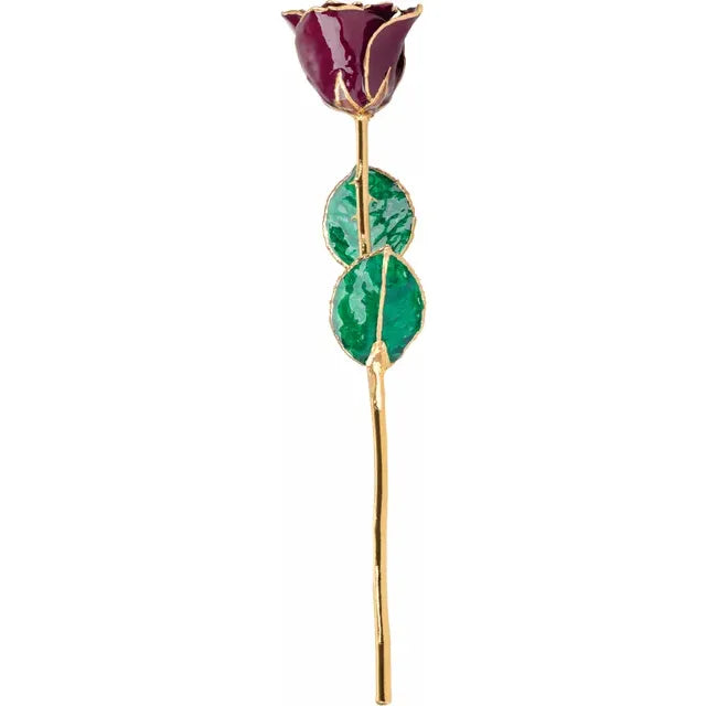 Lacquered Red Coloured Rose with 24K Gold-Plated Trim