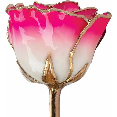 Lacquered Pink Coloured Rose with 24K Gold-Plated Trim