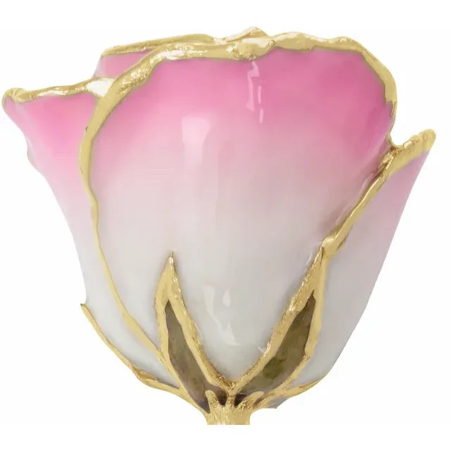 Lacquered Pink Coloured Rose with 24K Gold-Plated Trim