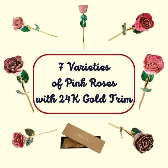 Lacquered Pink Coloured Rose with 24K Gold-Plated Trim