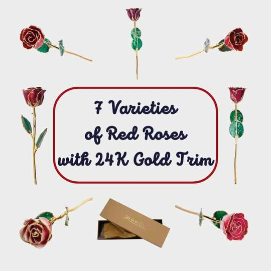Lacquered Red Coloured Rose with 24K Gold-Plated Trim